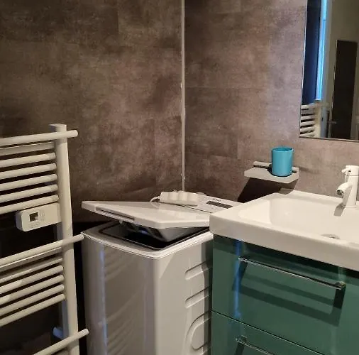 Apartman L'honna Flow, De Charme Pres Du Centre. *